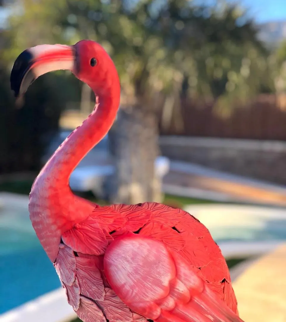 Arenda Villa Flamingo L'L'Hospitalet de l'Infant
